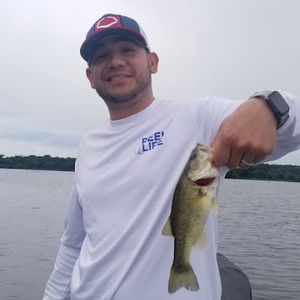 Meet your Posher, Frank